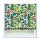 Орхидеи в тропиках